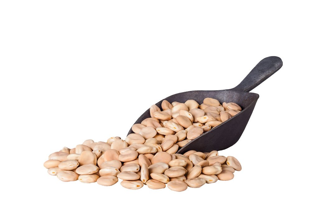 ترمس مستورد 250 جرام