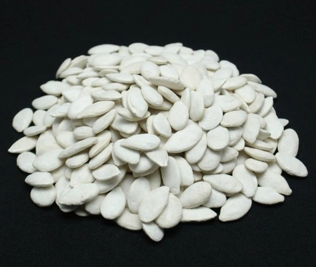 لب ابيض قرع